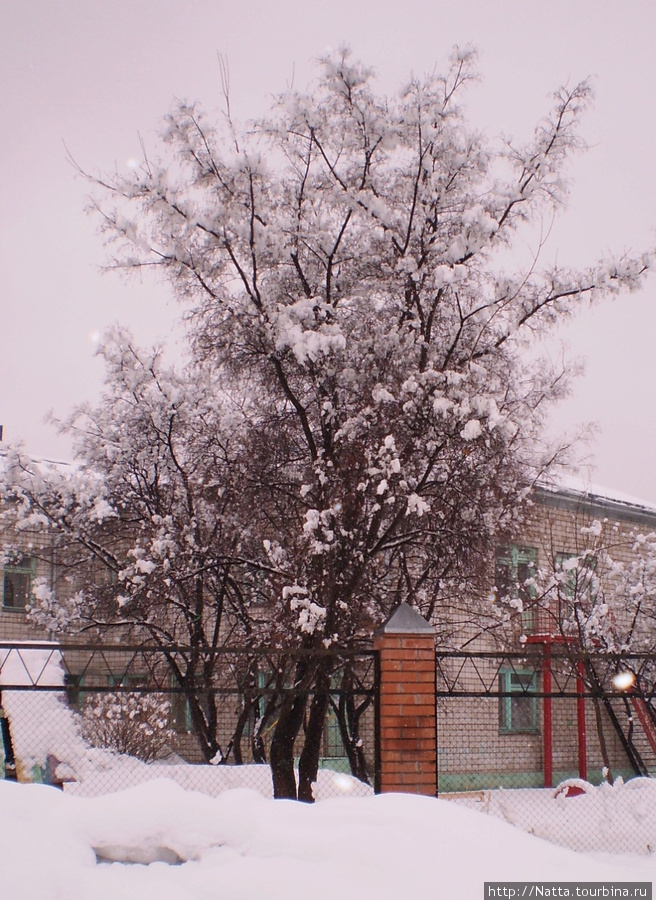 Апрельский снег Алтайский край, Россия