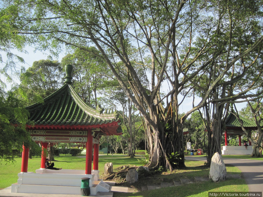 Маленькая Индия, Чайнатаун, Китайский и Японский сад Сингапур (город-государство)