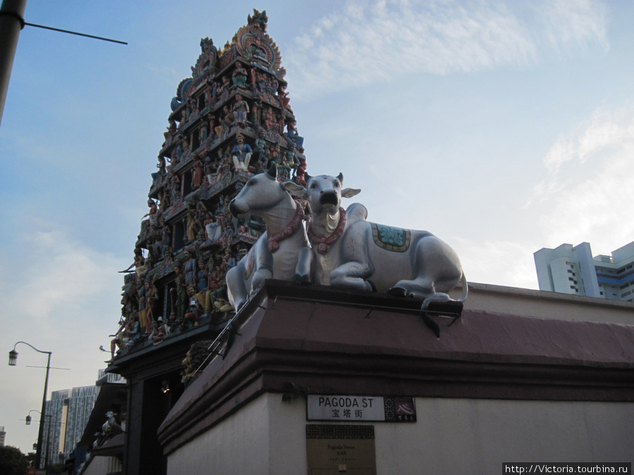 Более того, прямо рядом с метро Чайнатаун я нашла то, что безуспешно искала в Маленькой Индии — явно индийский храм. Сингапур (город-государство)