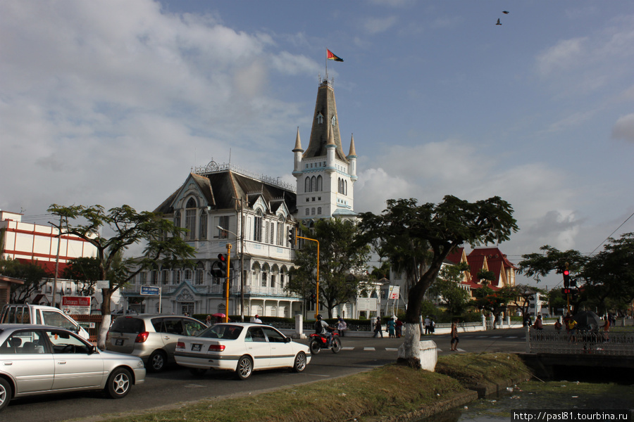 Dark Markets Guyana