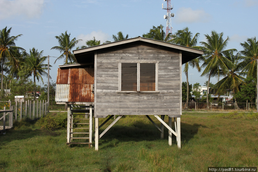 Пампасы - 12. 05.04.2011 Гайана — паром на Суринам