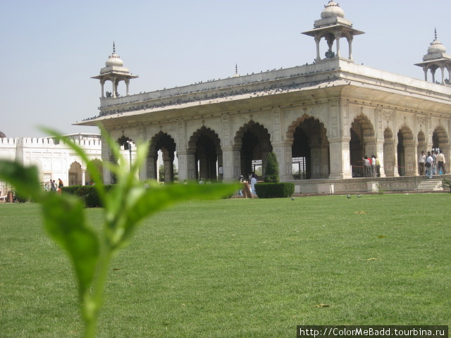 Жемчужная мечеть (Дели) — Мечеть Моти Индия