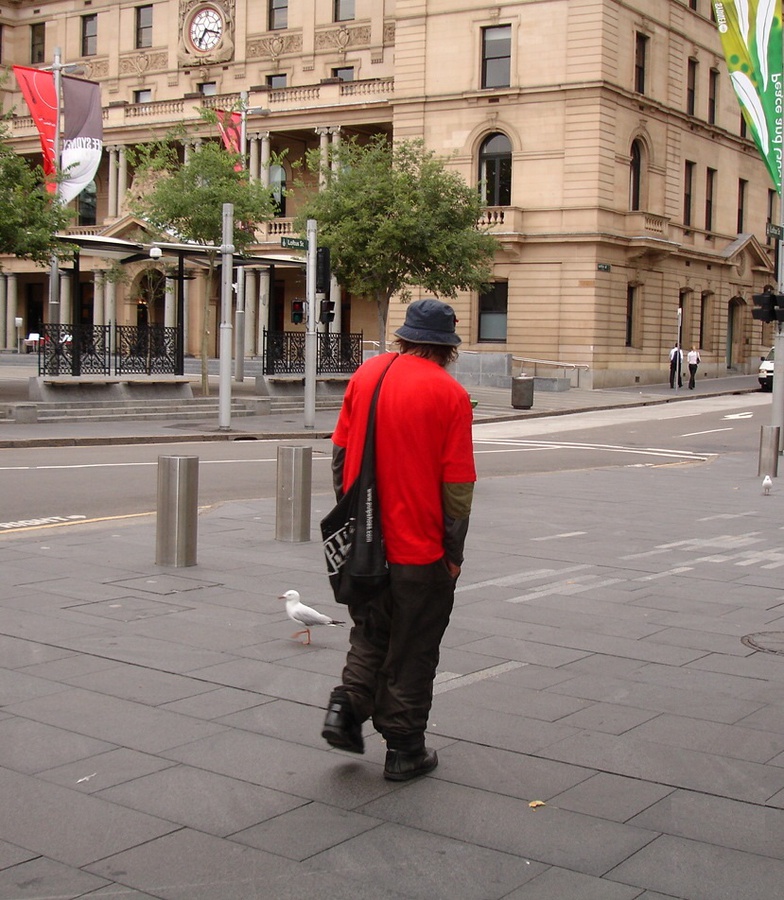 рано утром встретил на пути австралийского бомжа Сидней, Австралия