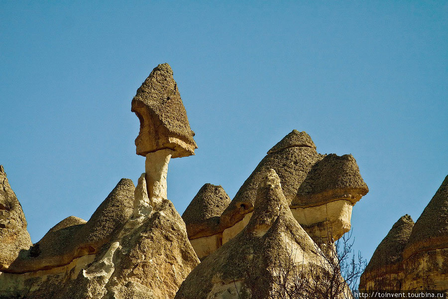 Гриб. Каппадокия - Гереме Национальный Парк, Турция