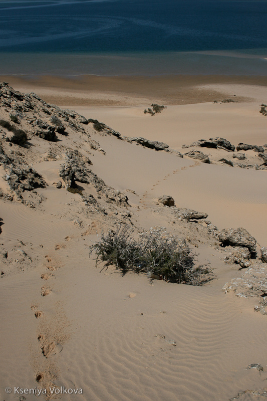 Пески Западной Сахары