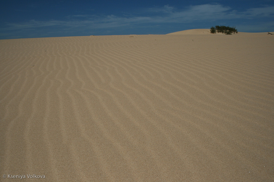 Пески Западной Сахары Дахла, Западная Сахара
