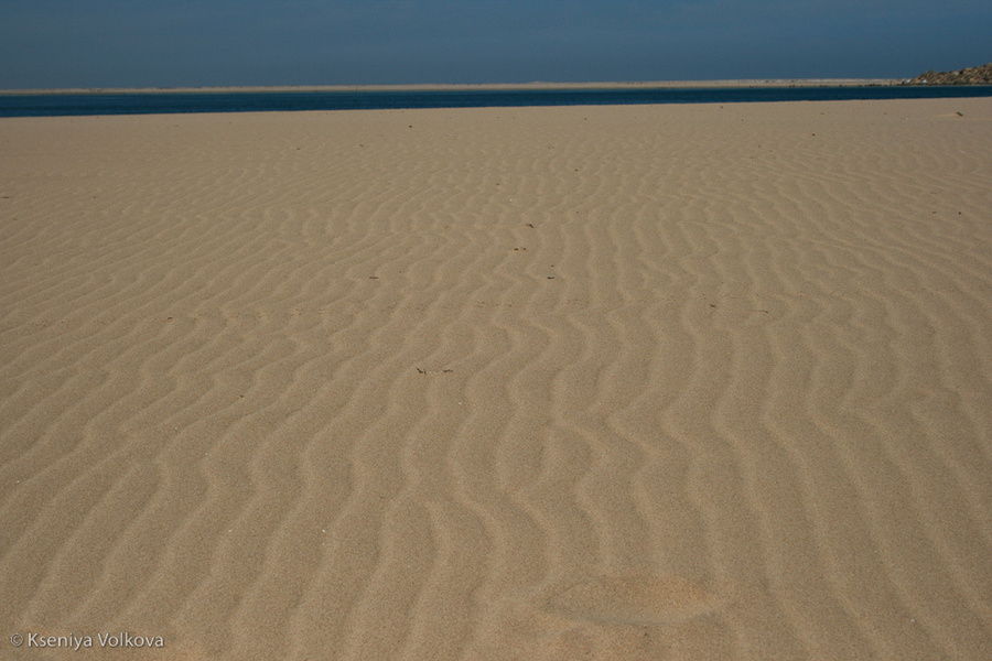 Пески Западной Сахары Дахла, Западная Сахара