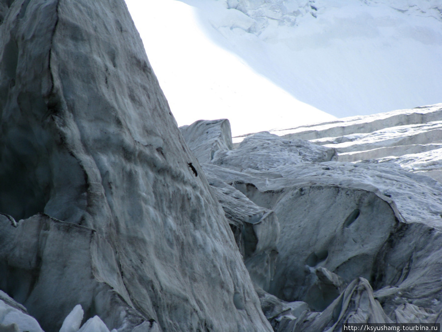 Ак-Кемский ледопад. Присмотритесь: вверх по вертикали скачет белка-каменушка. Живет в горах, любит камни, лед и высокогорье Республика Алтай, Россия