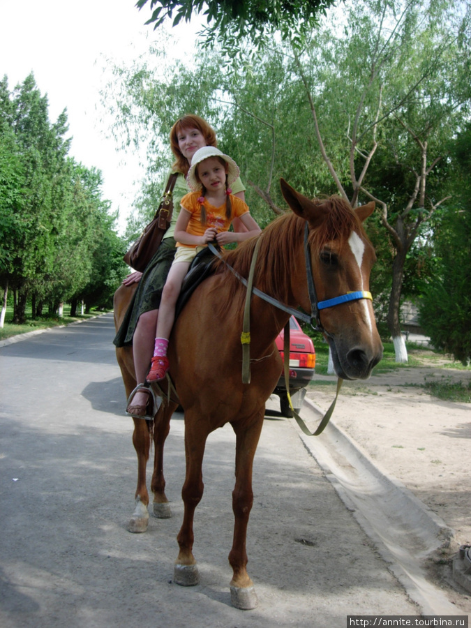 Верхом на лошадке. Ташкент, Узбекистан