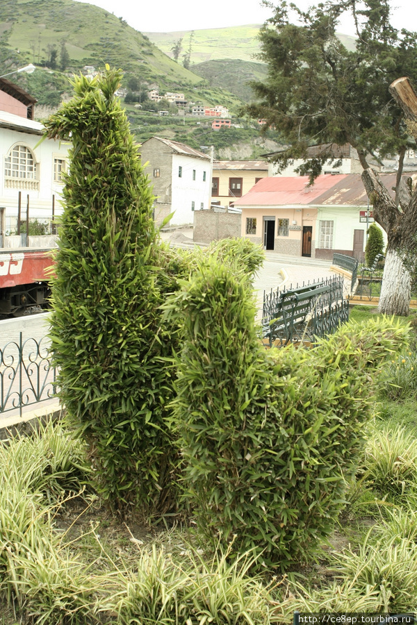В городе даже есть садоводческий дизайн! (или как его назвать?) Алауси, Эквадор