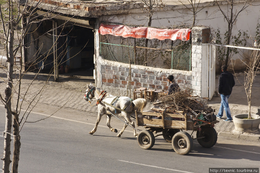 Не у всех есть машина... Гужевая повозка — тоже транспорт Диярбакыр, Турция