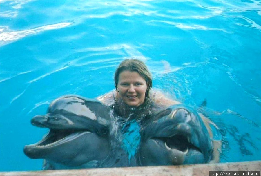Дельфинарий Ялта, Россия