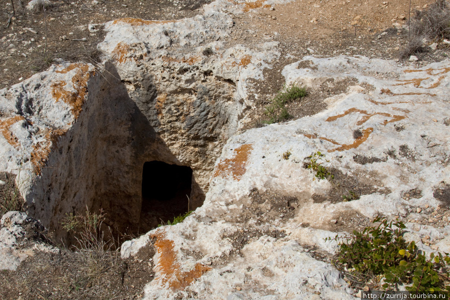 Пуническая могила (Шемшия, Сент-Полс-Бэй, Мальта)