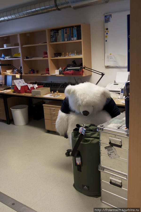 почему-то концентрация игрушечных белых медведей на антарктических станциях очень высокая...:) Антарктическая станция Неймайер III (Германия), Антарктида