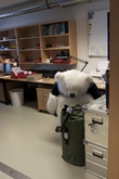 почему-то концентрация игрушечных белых медведей на антарктических станциях очень высокая...:)