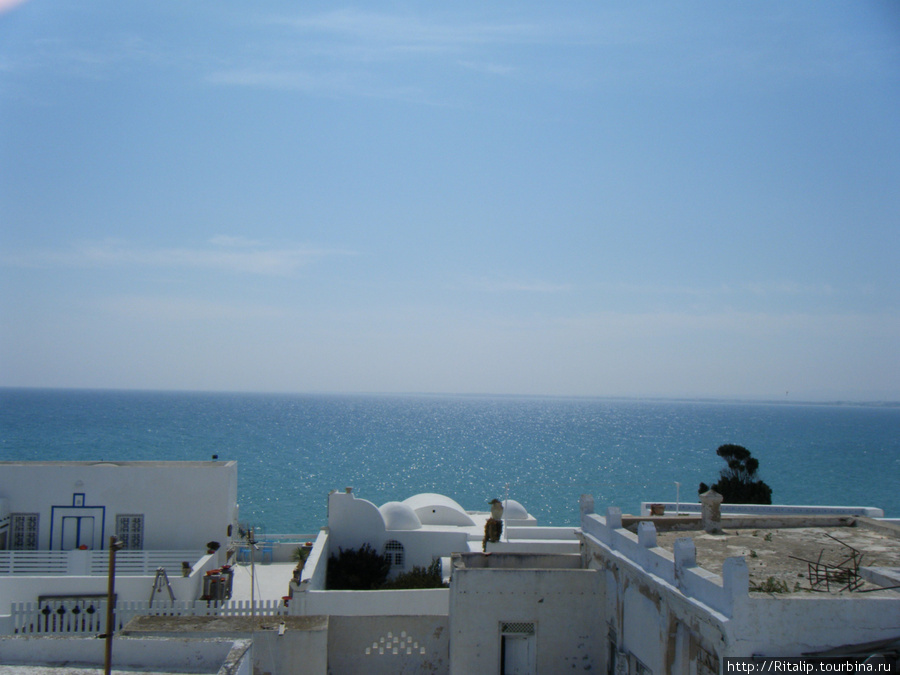 Тунис в мае — рай на земле! Тунис