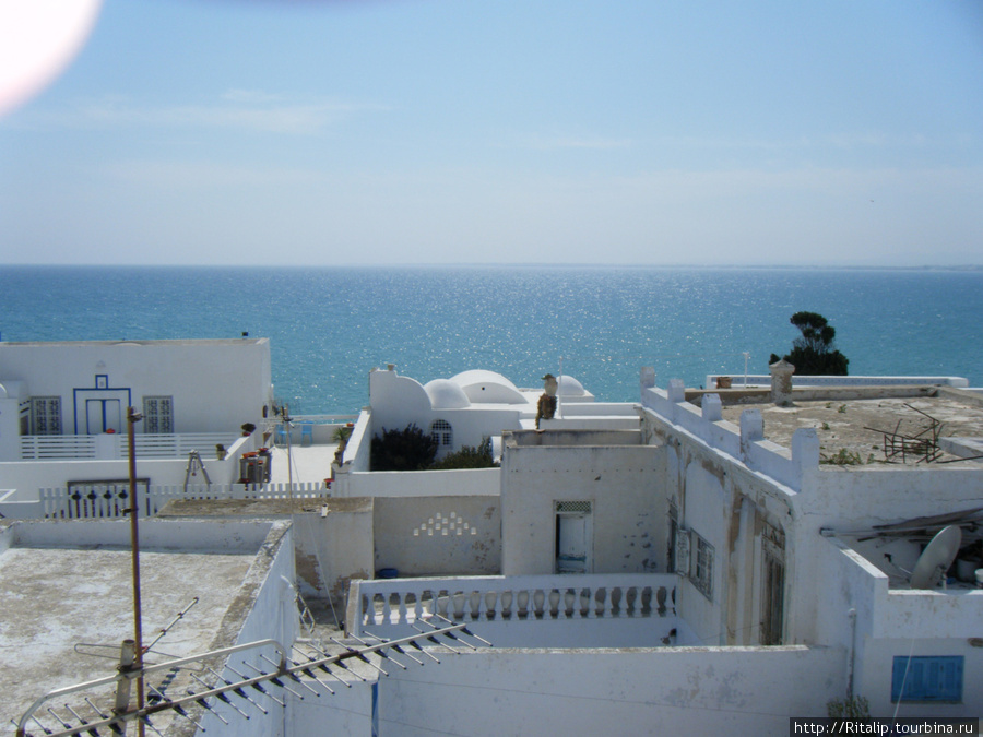 Тунис в мае — рай на земле! Тунис