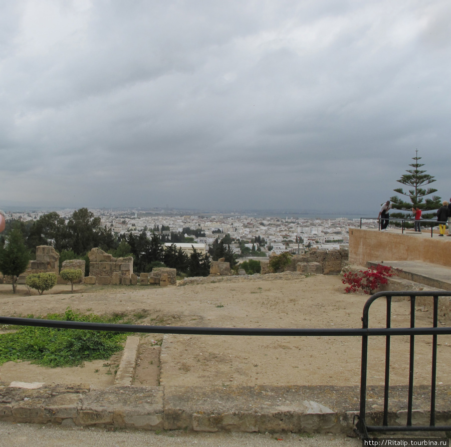 Карфаген (увы, практически ничего не осталось). Тунис