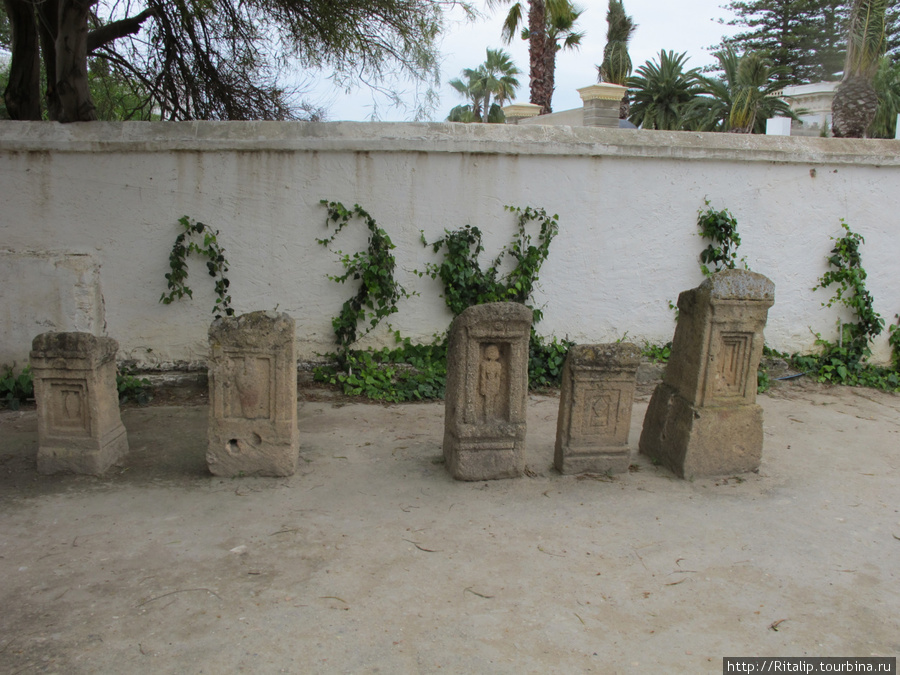 Детское кладбище (туристов сюда не водят),и наш гид-араб с нами не пошел ,они бояться этого места. Тунис