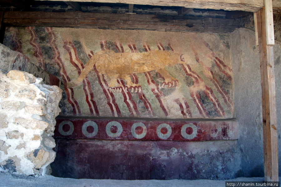 Рисунок пумы на стене Теотиуакан пре-испанский город тольтеков, Мексика