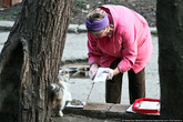 Крым — большая деревня, все друг друга знают, оказывается. И все окрестные кошки знают тетю ... (крымчане, напишите ее имя), которая каждый вечер кормит всех алуштинских котов.