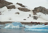 Neko Bay. Я впервые высаживался на последней лодке. Справа вверху видны тропы пингвинов.