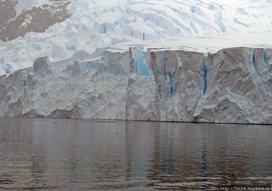 Противоположный берег Залив Неко, Антарктида