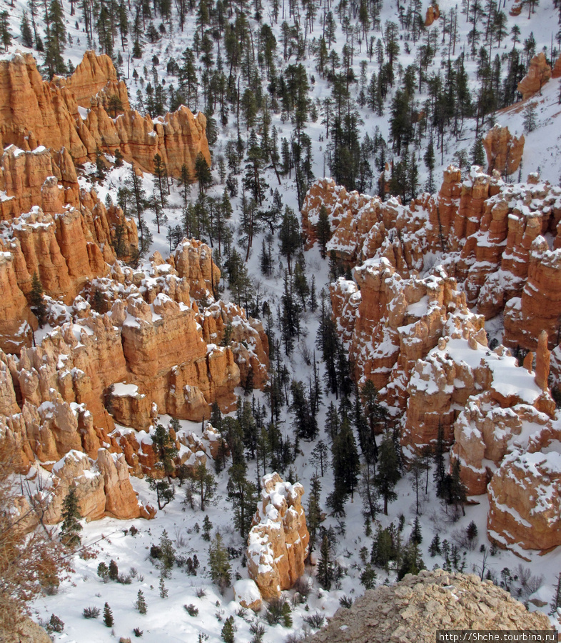 Точка Брайс (Brice Point) и Гроты (Grottos) Национальный парк Брайс-Каньон, CША