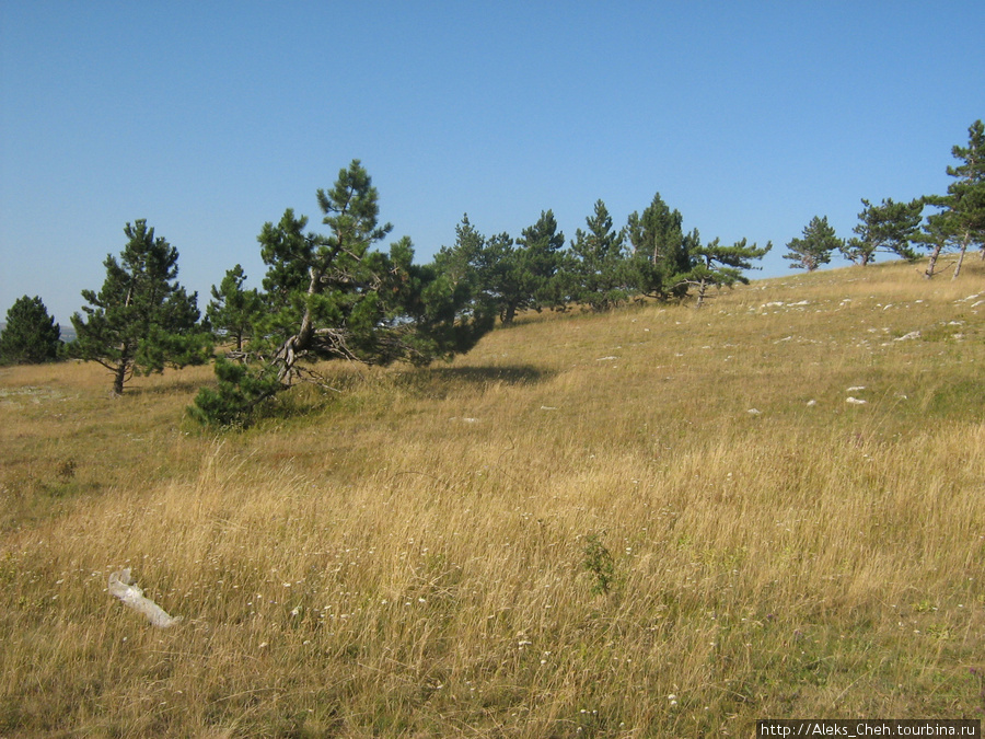 Ай-Петри (Крым):вид на плато и с него Мисхор, Россия