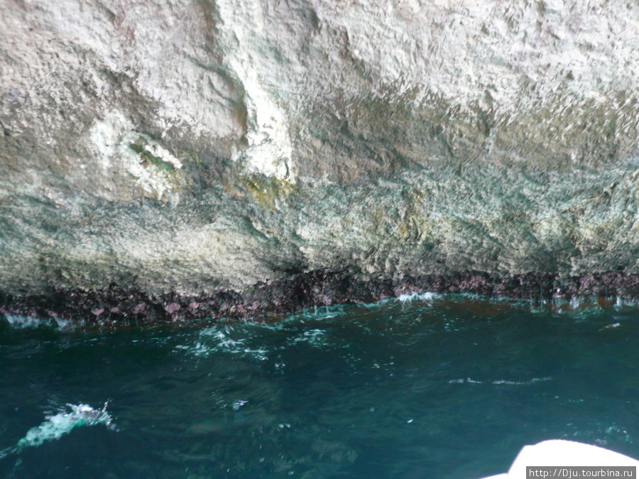 Сквозь голубую воду можно увидеть красные кораллы. Остров Капри, Италия