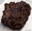Железный метеорит весом 7 кг из Приморского края