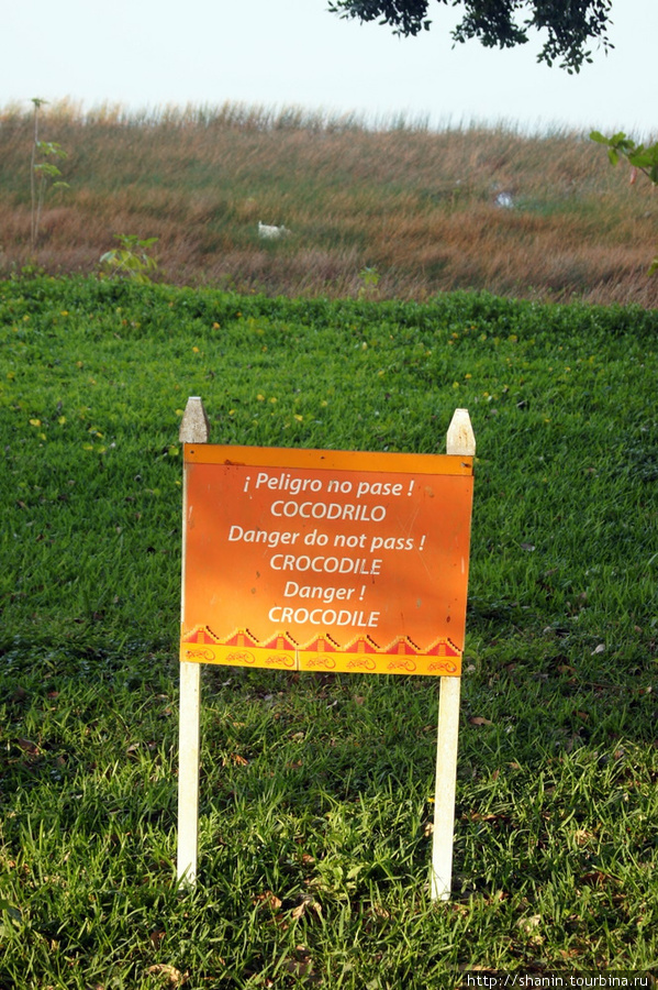 Табличка предупреждает об опасности нападения крокодилов Коба, Мексика