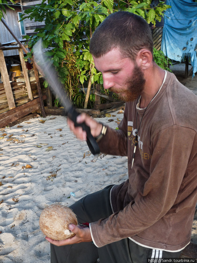 Гость и кокос Ванимо, Папуа-Новая Гвинея