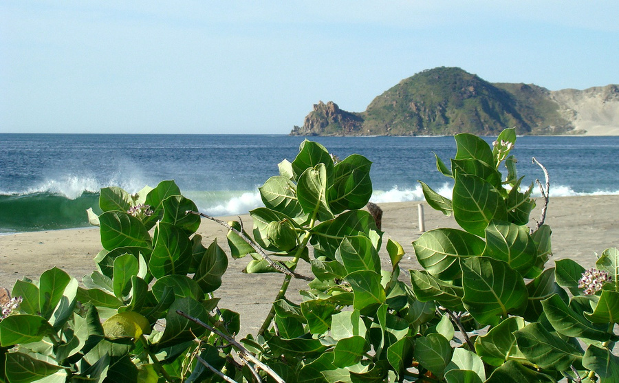 Случайная остановка в Мексике (ч.2 - Тихий океан) Штат Оахака, Мексика