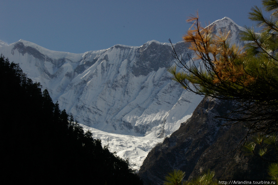 Annapurna Circuit Trek, ноябрь 2007, часть восьмая Непал