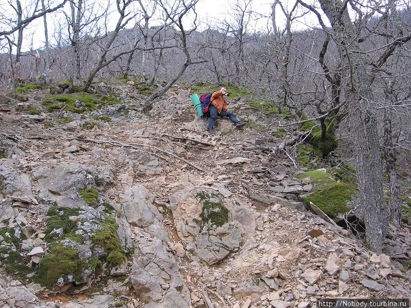 В поисках весны. Горы и море. Гурзуф, Россия