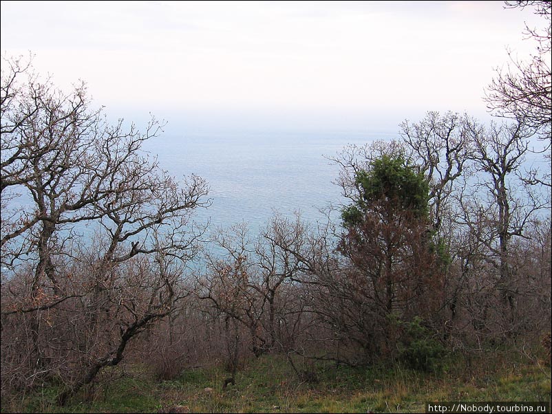 А внизу море... Гурзуф, Россия