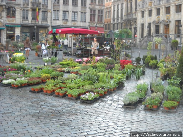 Традиционная торговля цветами Брюссель, Бельгия