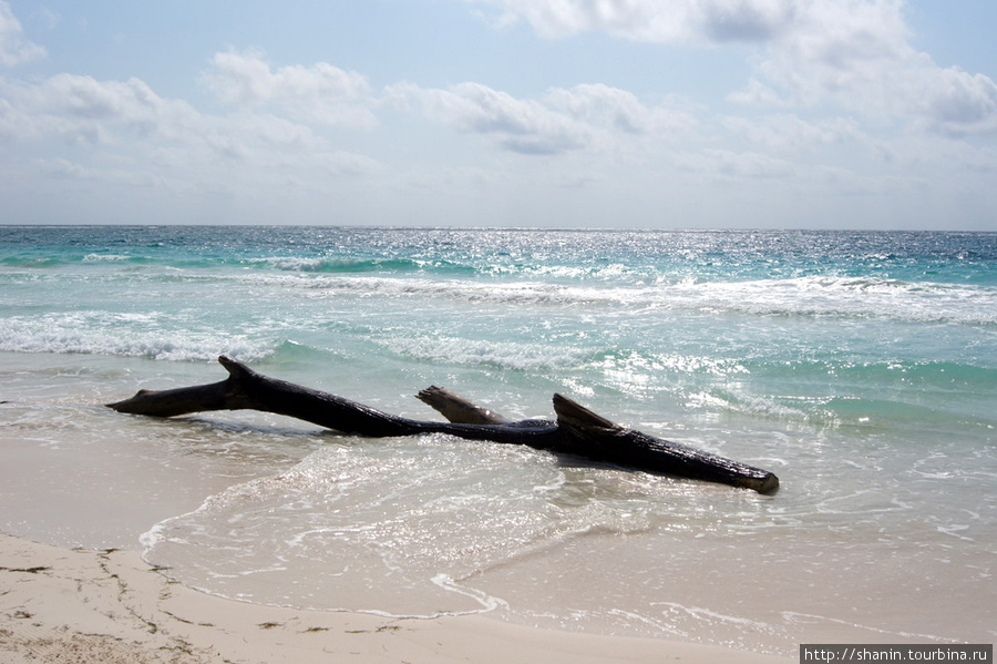 Настоящий Карибский пляж Тулум, Мексика