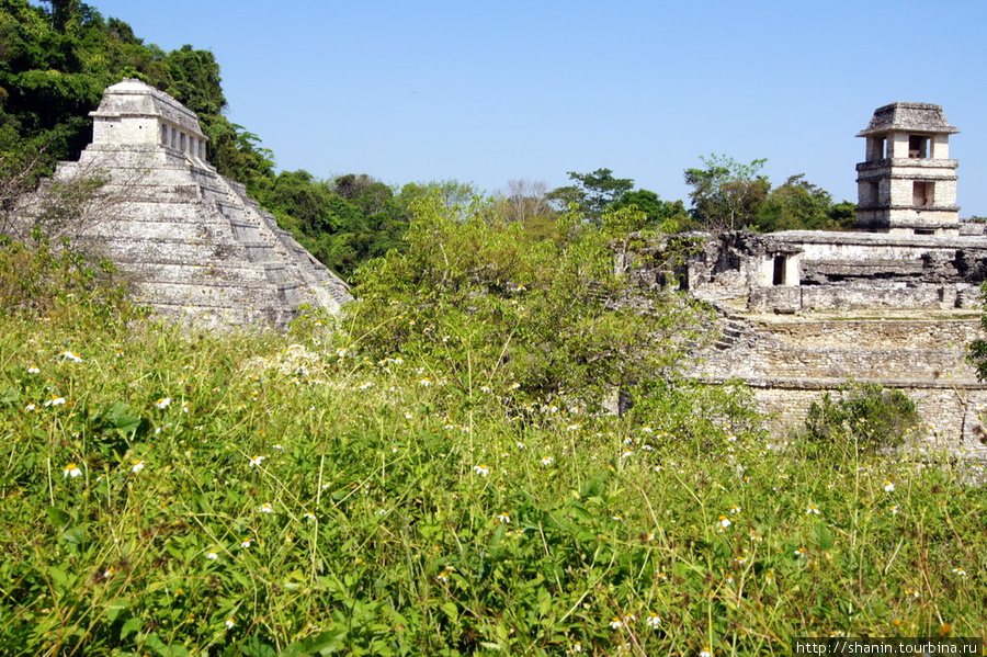 Храм надписей и руины дворца правителей в Паленке Паленке, Мексика