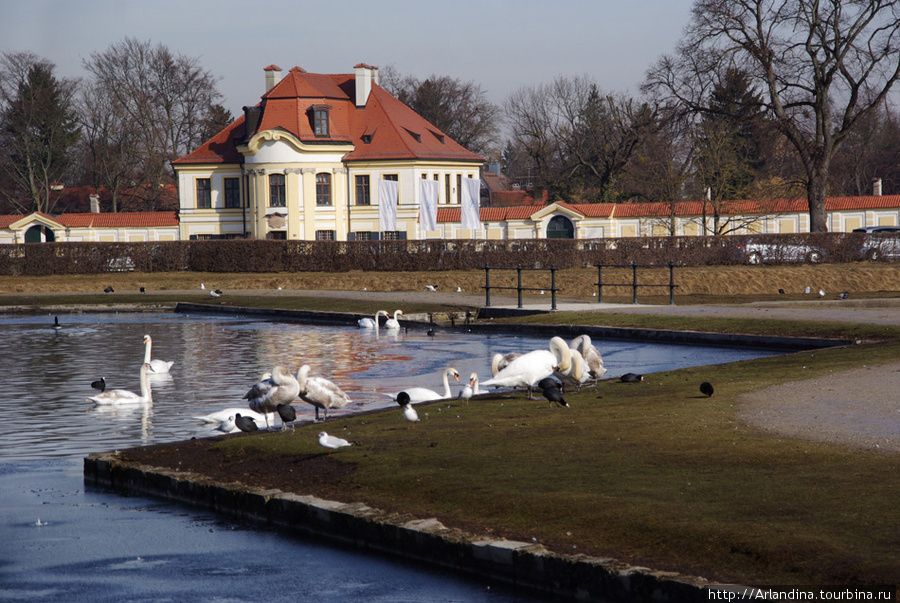 Замок Нимфенбург, февраль, птицы... Мюнхен, Германия