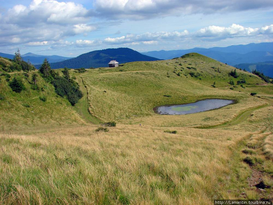 Склоны Черногорского хребта Закарпатская область, Украина