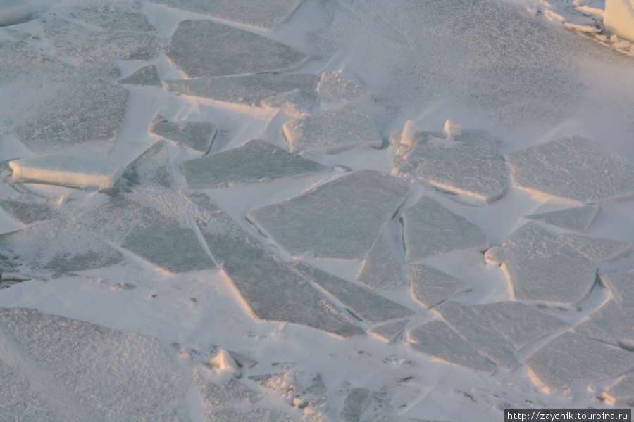 Ледоколы долбали льды. Льды вновь смерзались в ледяные поля.