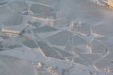 Ледоколы долбали льды. Льды вновь смерзались в ледяные поля.