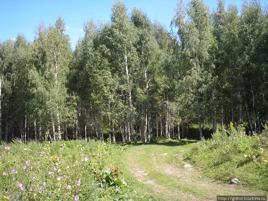 Заилийский Алатау. Иле-Алатауский Национальный Парк, Казахстан