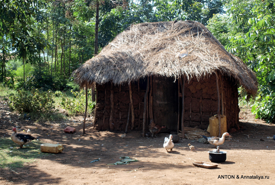 Багишу - часть 2. Жизнь и быт Мбале, Уганда