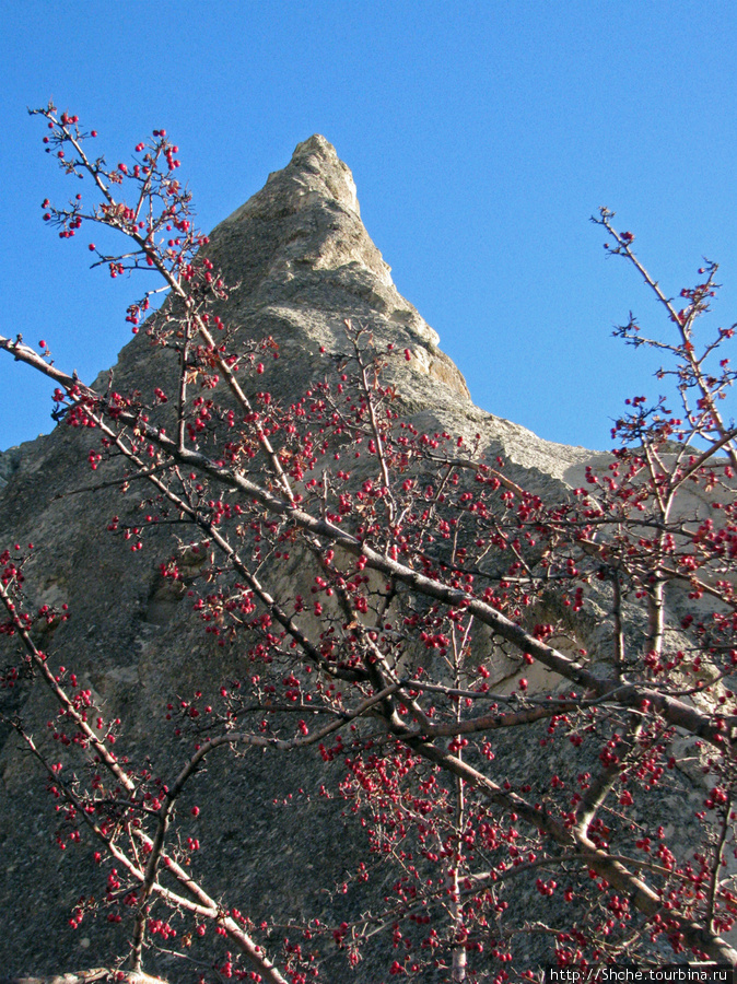 В защиту Goreme Open Air Museum — музея под открытым небом. Гёреме, Турция