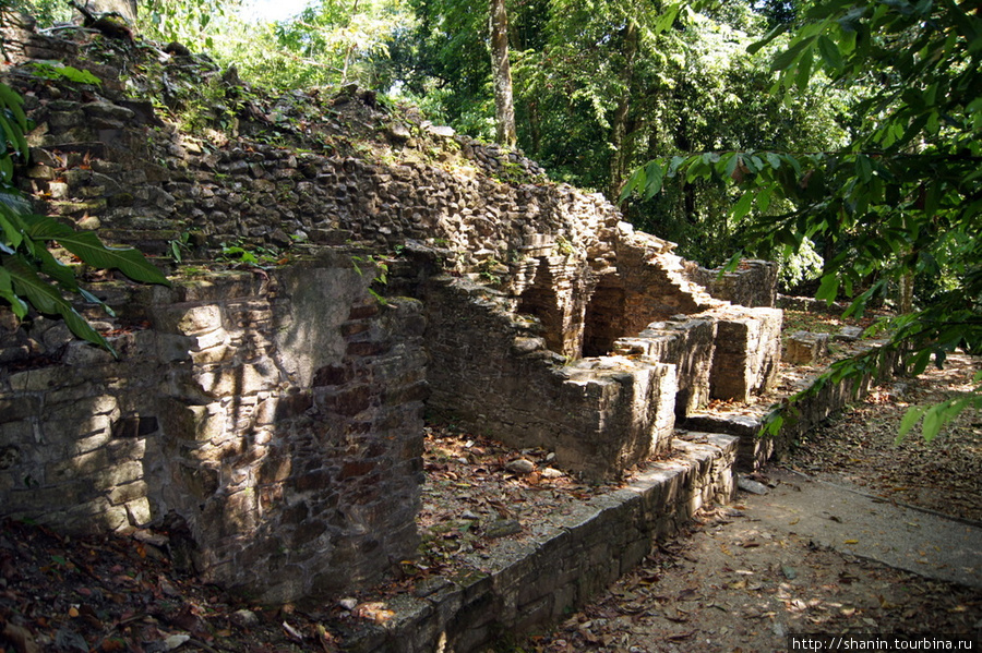 Руины в джунглях Паленке Паленке, Мексика