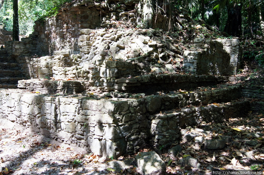Руины в джунглях Паленке, Мексика