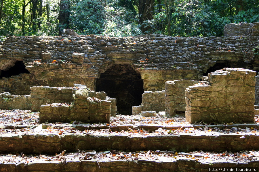 Руины в джунглях Паленке Паленке, Мексика
